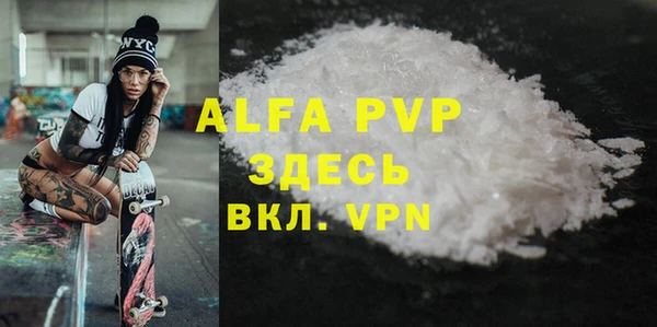 твердый Ельня