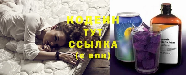 скорость Елизово