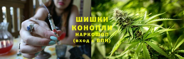 твердый Ельня