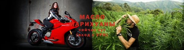твердый Ельня