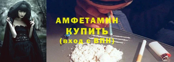 твердый Ельня