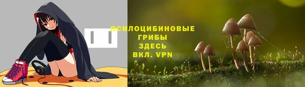 твердый Ельня