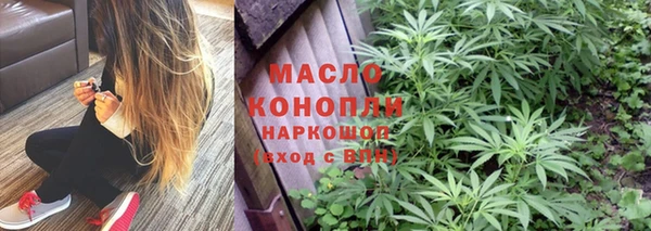 твердый Ельня