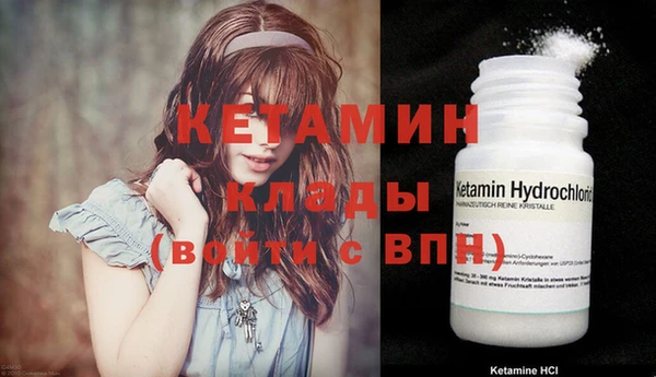 твердый Ельня