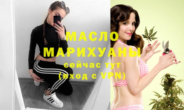 твердый Ельня